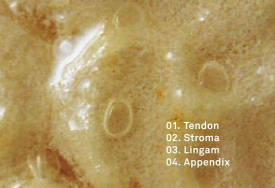 cd012-01